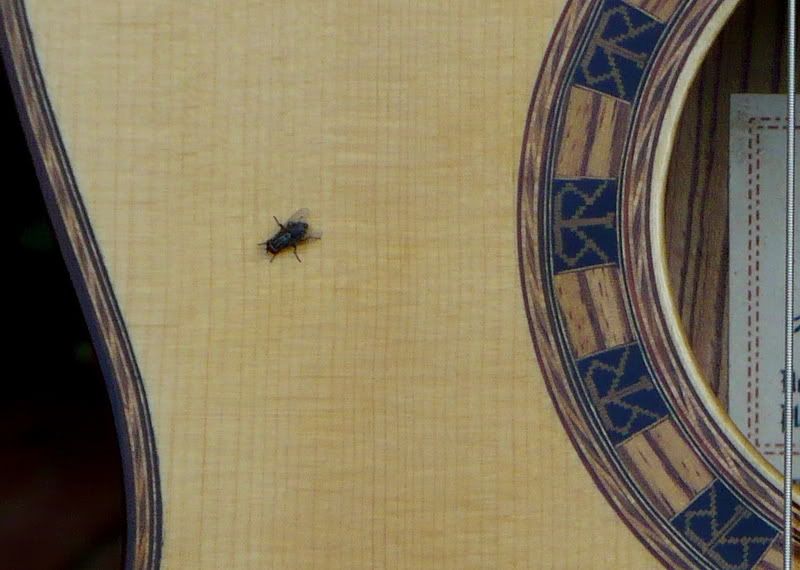 How is Guitar Herringbone Made The Acoustic Guitar Forum